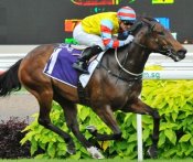 Mr Big (Corey Brown) bounces back to his best form in the Jumbo Jet Trophy.<br>Photo by Singapore Turf Club